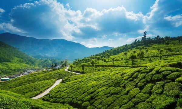  Munnar, Kerala Best places to travel with toddlers in India