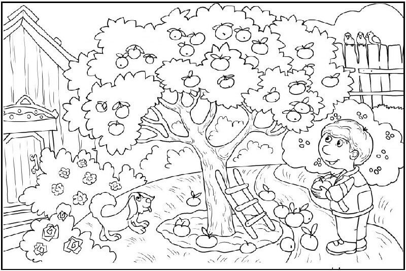 Apple Life Cycle Coloring Pages-Colorful Apple Coloring Pages for Kids to Have a Blast