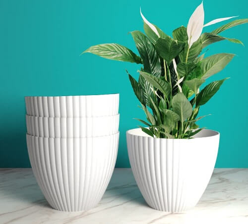 Basic Plant Pot Design Ideas