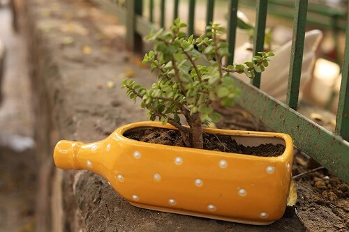 Customized Bottle Plant Pot Design