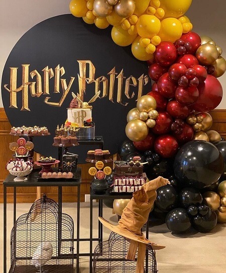 Fancy Harry Potter Birthday Party Decorations