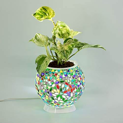 Unique Glass Flower Pot Design