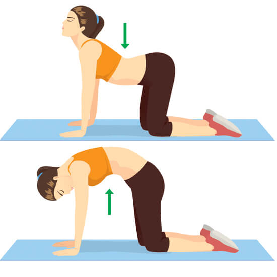 Marjariasana-exercise for back pain